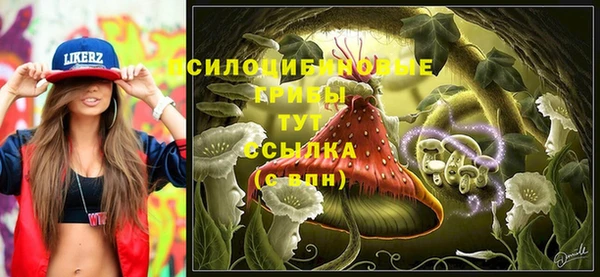 скорость Баксан