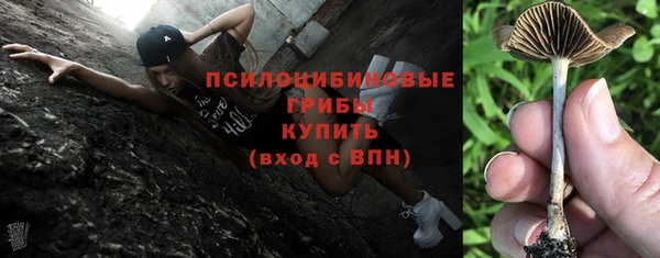 apvp Балахна